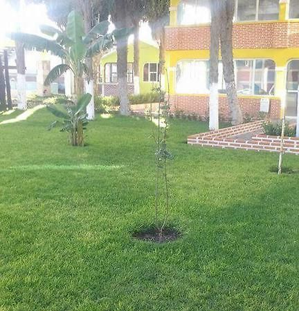 Hotel Cipreses Ixmiquilpan Dış mekan fotoğraf