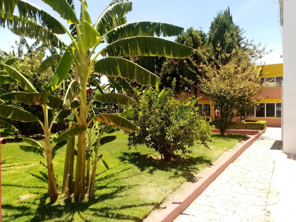 Hotel Cipreses Ixmiquilpan Dış mekan fotoğraf